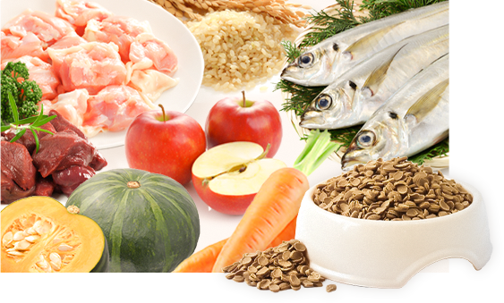 グレボのポイント