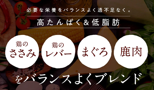 このこのごはんのポイント