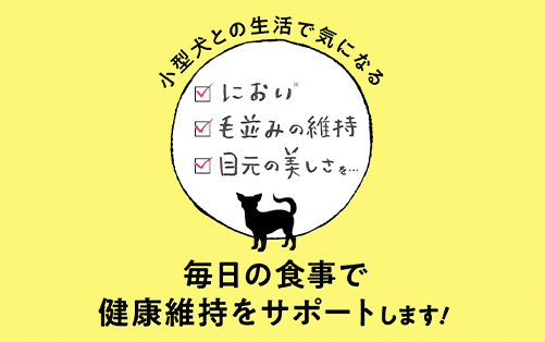 このこのごはんのポイント